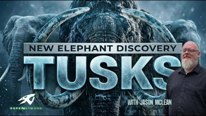 Animated elephant in the back. "New Elephant Discovery Tusks" in the center.