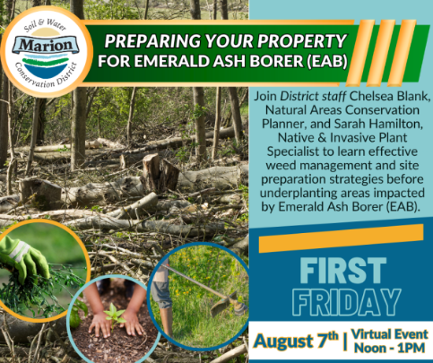 Picture of downed trees in a forest on the left. Marion Soil & Conservation District logo top left. Black words on the right in a blue box: "PREPARING YOUR PROPERTY FOR EMERALD ASH BORER (EAB) Join District staff Chelsea Blank, Natural Areas Conservation Planner, and Sarah Hamilton, Native & Invasive Plant Specialist to learn effective weed management and site preparation strategies before underplanting areas impacted by Emerald Ash Borer (EAB). FIRST FRIDAY August 7th | Virtual Event Noon - 1PM"