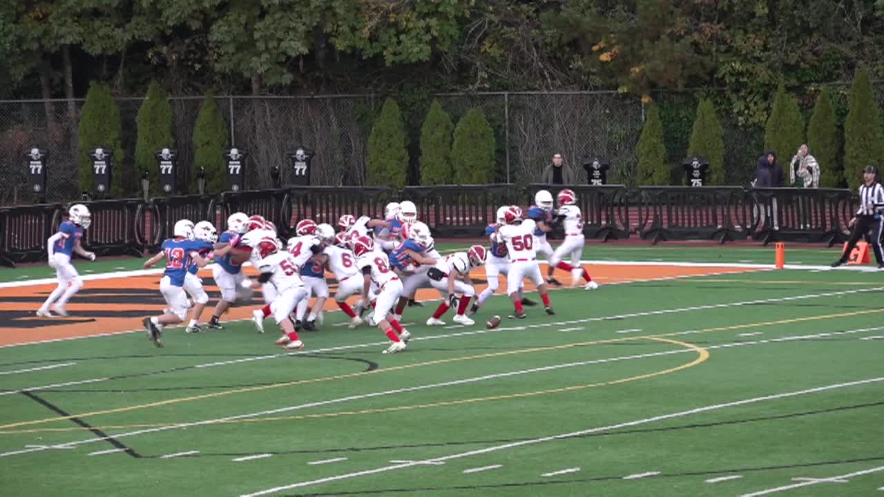 football field with players on it